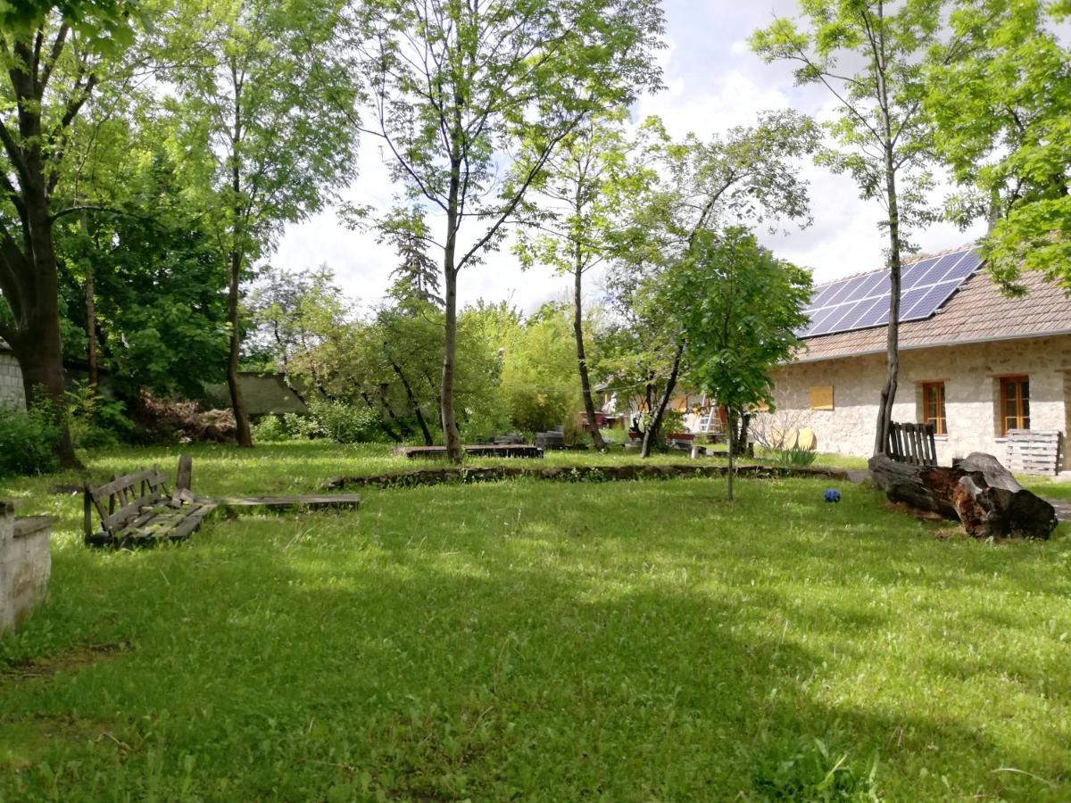 Karadi-Berger Vendeghaz Apartment Erdőbénye Екстериор снимка