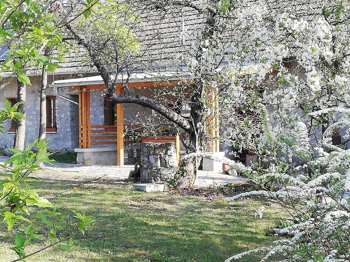 Karadi-Berger Vendeghaz Apartment Erdőbénye Екстериор снимка