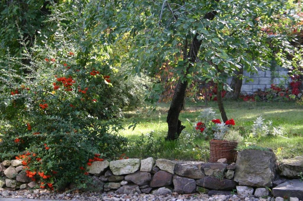 Karadi-Berger Vendeghaz Apartment Erdőbénye Екстериор снимка