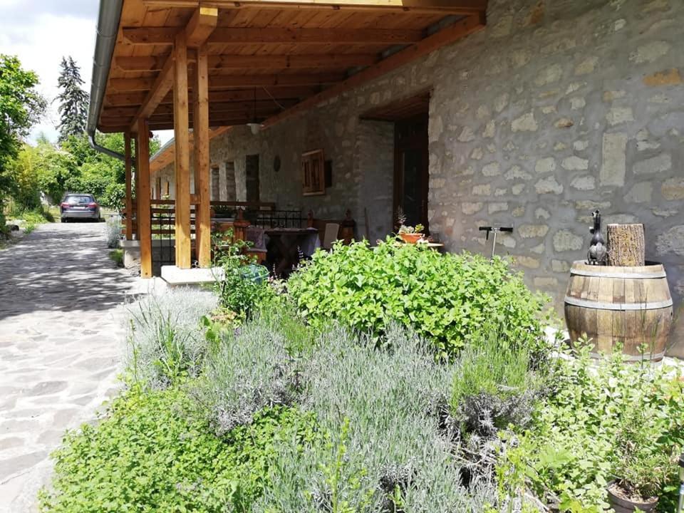 Karadi-Berger Vendeghaz Apartment Erdőbénye Екстериор снимка
